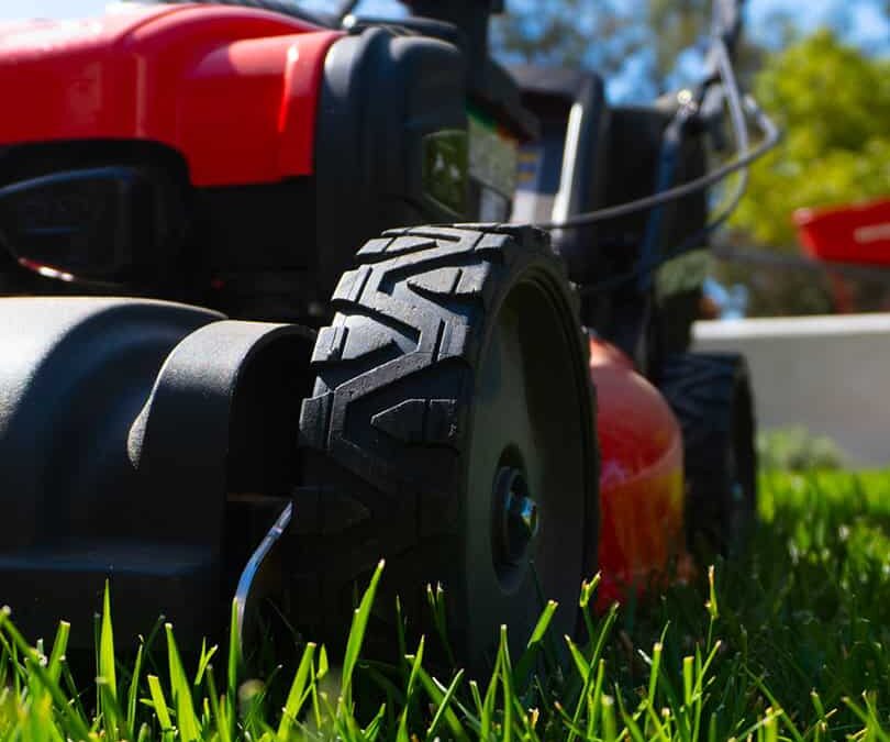 Hiring a Landscape Company in Houston, Texas